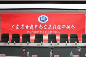2020-05-22_特大喜讯！广东省甘肃商会发展战略研讨会在db多宝视讯汇胜利召开！156.JPG